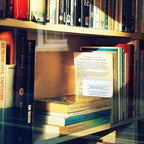 [25 PACK] Odor & Moisture Absorber Bags – Deodorizer for Home, Closets, Refrigerators, Litter Boxes, Bathrooms, Shoes & Cars