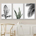 SIGNWIN Framed Canvas Print Wall Art Trio of Jungle Palms & Snake Succulents Floral Plants Photography Modern Art Minimalist Black and White for Living Room, Bedroom, Office - 24"x36"x3 White