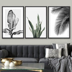 SIGNWIN Framed Canvas Print Wall Art Trio of Jungle Palms & Snake Succulents Floral Plants Photography Modern Art Minimalist Black and White for Living Room, Bedroom, Office - 16"x24"x3 Black