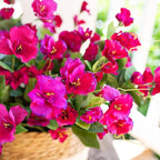 Hibiscus Artificial Flowers Plants for Outdoors Decor, 6 Bundles Silk Hibiscus Bouquet Tropical Flowers Artificial Realistic UV Resistant Fake Flowers for Outside Planter Porch Patio Balcony, Fuchsia