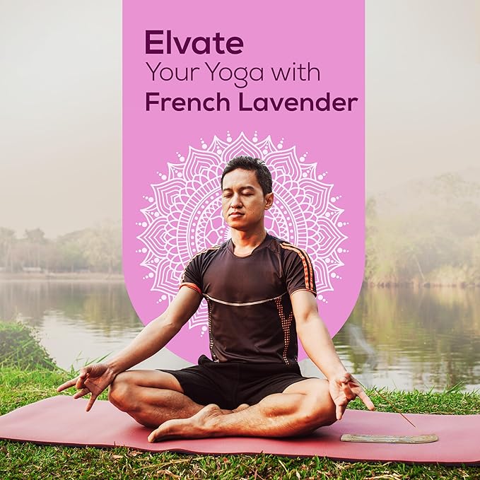 Satya French Lavender Incense Sticks 180 gm (15GM X 12 Pack) from Satya Sai Baba Nag Champa and Raajsee Incense Sticks Holder Bundle, Free from Chemicals,Natural Insenses