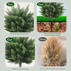 Artificial Topiary Cedar Tree 28 inch Faux Little Bush Cedar Tree UV Resistant Shrub Potted Artificial Plant for Outdoor Indoor Front Porch Garden (2 Pack)