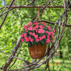 Artificial Impatiens Bouquet Flowers for Outdoors Silk Faux Flowers for Outdoor Impatiens Plants Decor Indoor Planters Kitchen Planters and Balcony Decorations 4PCS (Rose Red)