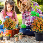 Artificial Monkey Grass Stem with Orange-Red Flowers, Set of 2 Faux Evergreen with Metal Spike, UV Resistant Realistic Faux Shrubs for Garden, Yard, Patio, Porch Outdoor Decor