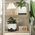 Nihow Ceramic Plant Pot: 8 Inch Planter with Drainage Hole & Saucer for Indoor & Outdoor Plants - Cylinder Round Flower Pot for Succulent/Herbs/Violets - White & Wave Black