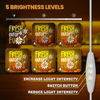 FRESH OUT OF FUS Neon Sign, Funny Novelty Neon Signs for Wall Decor, Dimmable Acrylic Neon Lights for Living Room Bedroom Party Decorations, Perfect Gifts