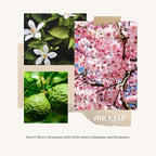 Airkeep Reed Diffuser Set, 3.38 fl oz (100 ml) - Cherry Blossom Almond Oil Diffusers with 8 Reed Sticks, Home Fragrance Reed Diffuser for Bathroom Shelf Decor