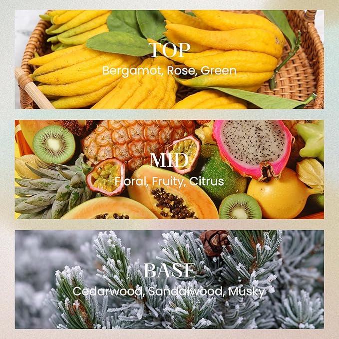 M&SENSE 6.3 oz Large Reed Diffuser Set | Rose Princess Scent Oil Diffuser with Sticks | Hotel Collection Non-Toxic Essential Oil |for Bedroom Bathroom Living Room