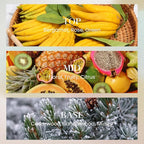 M&SENSE 10.14 oz Large Reed Diffuser Set | Rose Princess Scent Oil Diffuser with Sticks | Hotel Collection Non-Toxic Essential Oil |for Bedroom Bathroom Living Room