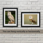 VCK 18x24 Poster Frames 3 Pack Black MDF Wood and Polished Plexiglass Frame,Display Pictures in Horizontal and Vertical