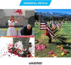 Dried Flower Forget Me Not Biodegradable Confetti - Real Flower Petals for Weddings, Flower Girl Toss, Wedding Send Off Ideas, Party Table Decoration | Boxed - 8oz (0.5lbs)