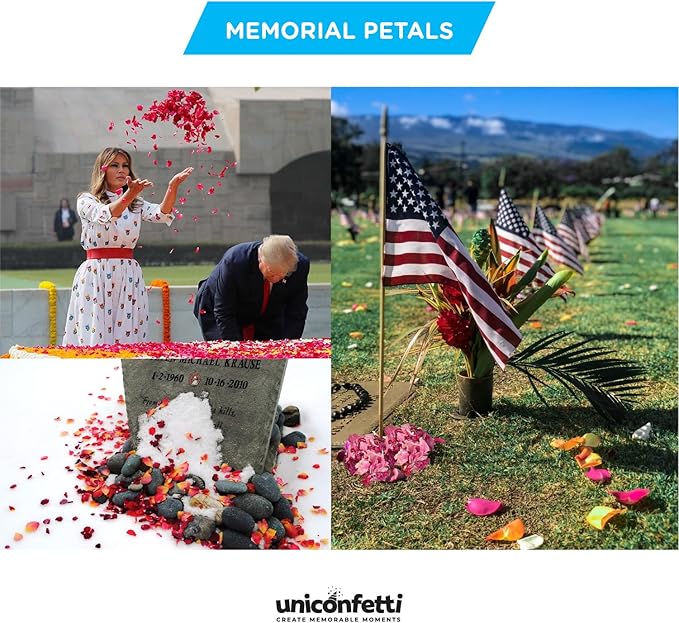 Dried Flower Forget Me Not Biodegradable Confetti - Real Flower Petals for Weddings, Flower Girl Toss, Wedding Send Off Ideas, Party Table Decoration | Boxed - 8oz (0.5lbs)