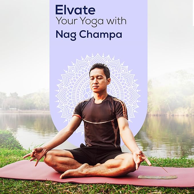 Satya Nag Champa Incense Sticks, Satya sai Baba Insenses 15gmx12 Pack with Raajsee Incense Holder Bundle, Satya Nag Champa Natural Incense 180 gm