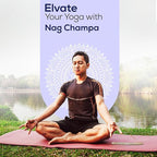 Satya Nag Champa Incense Sticks, Satya sai Baba Insenses 15gmx12 Pack with Raajsee Incense Holder Bundle, Satya Nag Champa Natural Incense 180 gm