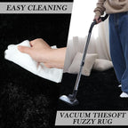 Fluffy Area Rug Living Room: Black Shag Rug 6x9 Plush Rugs for Living Room - Large Fuzzy Soft Carpet (Black 6x9 Feet)