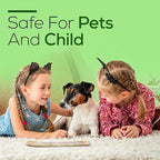 Satya Spicy Patchouli Incense Sticks 180 gm (15GM X 12 Pack) from Satya Sai Baba Nag Champa and Raajsee Incense Sticks Holder Bundle, Free from Chemicals,Natural Insenses