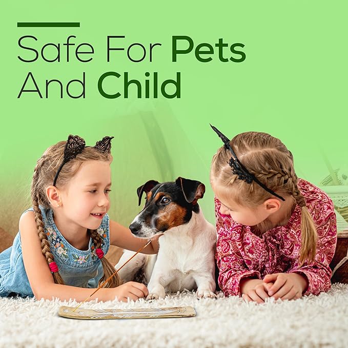 Satya Spicy Patchouli Incense Sticks 180 gm (15GM X 12 Pack) from Satya Sai Baba Nag Champa and Raajsee Incense Sticks Holder Bundle, Free from Chemicals,Natural Insenses