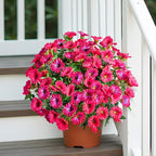 UV Resistant Artificial Petunias 13.3In Fake Flowers Artificial Flowers for Outdoors Silk Flowers 8PCS Fake Hanging Basket Plants Suitable for Outdoor Porch Decoration Patio Decor (Rose red)