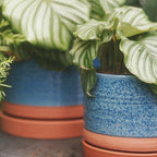 8 Inch Pots for Plants, Ceramic Planter Pot with Drainage Hole & Saucer, Indoor/Outdoor Cylinder Round Planter Pot, Blue & Terracotta