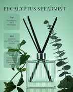 M&SENSE Eucalyptus Spearmint Reed Diffuser Set - 7.04oz Diffuser with Sticks, Rich Fragrance & Refreshing Non-Toxic Scent for Home Bathroom Office Study Other Workspaces Needing Focus, Gifts for Women