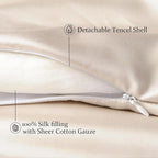 CUDDLE DREAMS Silk Filled Comforter for All Season, Detachable Tencel Duvet Cover for Easy Care, Naturally Breathable (Light Pewter, Twin)