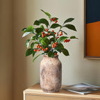 Rustic Terracotta Vase, Farmhouse Ceramic Vase, Decorative Clay Vintage Vases for Home Decor, Living Room,Table, Shelf Decor, 9 inch, Brown