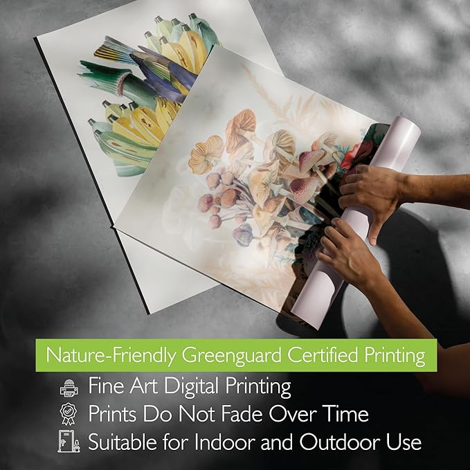 Cottagecore Decor Framed Wall Art Set, Set of 10 Aesthetic Framed Prints for Cottage Core Home Decor, Black Framed Vintage Fruits and Vegetables Pictures