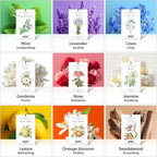 MYARO 12 Pcs Rose Sachets Deodorizer Room Air Freshener Long Lasting Home Odor Eliminating for Drawer Closet Storage