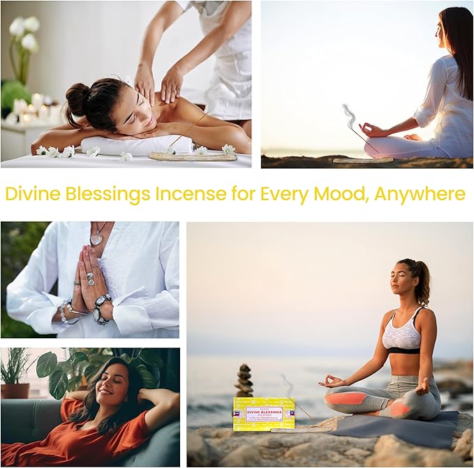 Satya Divine Blessings Incense Sticks, Satya Bng (Bangalore) Insenses 15gmx12 Pack with Raajsee Incense Holder Bundle, Satya Nagchampa Natural Incense
