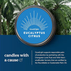 GoodLight Paraffin-Free Scented Candle, Clean Burning Non-Toxic Tin Candles, Eucalyptus Essential Oil Scented Travel Candle 6oz