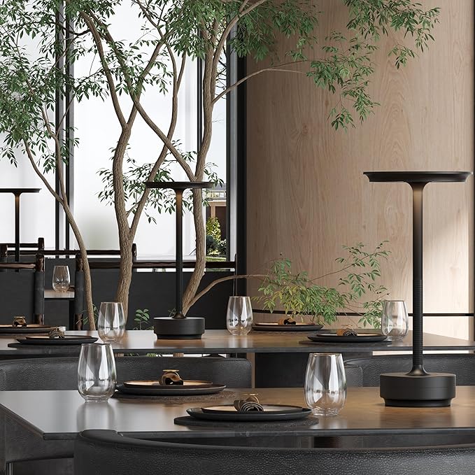 2 Pack Cordless Table Lamp, LED Rechargeable Table Light with 3 Temp Settings, Stepless Dimming, 5000mAh Battery, USB-C, Memory, Aluminum Alloy, for Home, Patio, Restaurant, Outdoor. Black