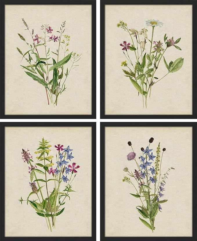 SIGNWIN Framed Watercolor Floral Botanical Wall Art, Set of 4 Vintage Wall Decor Prints, Minimalist Wall Décor for Living Room, Bedroom - 11"x14" Black