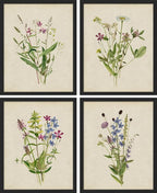 SIGNWIN Framed Watercolor Floral Botanical Wall Art, Set of 4 Vintage Wall Decor Prints, Minimalist Wall Décor for Living Room, Bedroom - 12"x16" Black