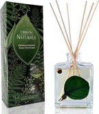 Urban Naturals Sandalwood & Eucalyptus Reed Diffuser Set – Made with Essential Oils & Real Botanicals – Sleek Rectangular Refillable Glass Bottle – Made in The USA