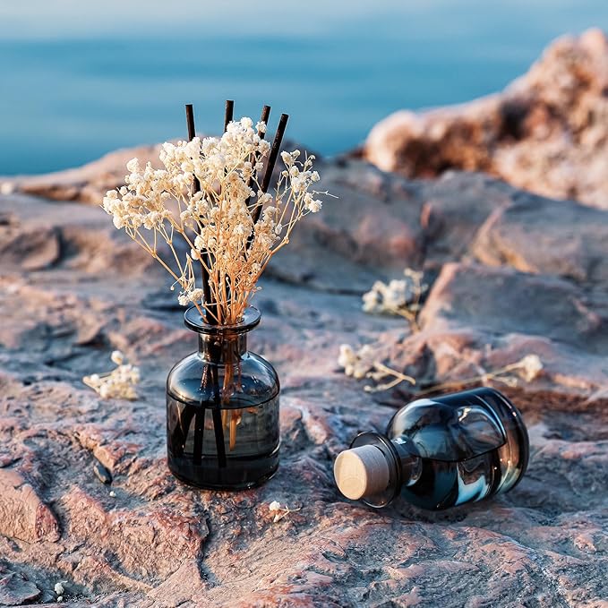 Brakula 2 Pack Reed Diffuser, White Jasmine+Lavender Vanilla (3.38 fl oz Each Pack), Home Fragrance with 12 Sticks, Shelf Decor, Reed diffusers for Home