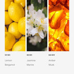 Cabana Reed Diffuser Set, Luxury Hotel Inspired Home Diffuser with Hints of Marine, Bergamot, and Jasmine, Lasting 4 Month Longevity, 100mL