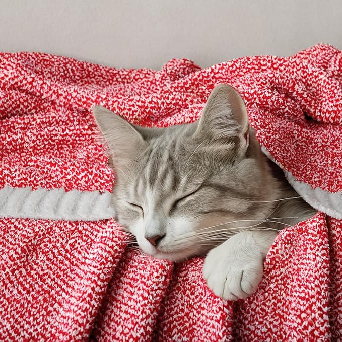 MIULEE Red Super Soft Throw Blanket for Couch, Cozy Fluffy Warm Blankets Lightweight Knit Throw Blankets for Sofa, Bed, Chair, Living Room, Camping, Picnic, 50 x 70 inch