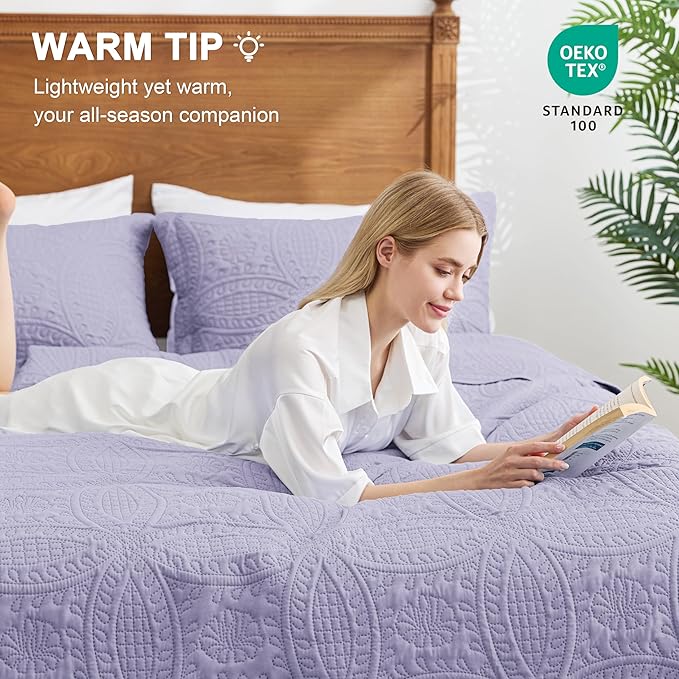 Love's cabin Quilts for Queen Bed Lavender Bedspreads Bedding Set - Lightweight Bedspread Comforter - Coin Pattern Bedding Coverlet for All Season - 3 Pieces (1 Quilt, 2 Pillow Shams)