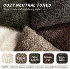 Foindtower Set of 2 Curly Teddy Wool Pillow Covers Decorative Boucle Textured Lumbar Throw Pillow Faux Fur Sherpa Pillowcases Sheepskin Fuzzy Cushion Case for Sofa Bedroom Car 12"x20" Red Brown