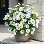 UV Resistant Artificial Petunias 13.3In Fake Flowers Artificial Flowers for Outdoors Silk Flowers 8PCS Fake Hanging Basket Plants Suitable for Outdoor Porch Decoration Patio Decor (White)