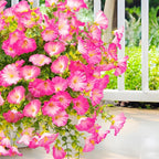 Artificial Flowers Fake Plants for Outdoor Indoor Decoration,16 Bundles UV Resistant Faux Plastic Flowers,Realistic Pink Morning Glory for Planter Porch Patio Home Table Wedding (Pink)