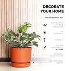 Elly Décor 10 inch Plastic Cylinder Planter Pot with Self-Watering Saucer and Drainage Hole,Lightweight & Extremely Durable, 10"x 10", Terracotta