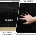 Fluffy Area Rug Living Room: Black Shag Rug 6x9 Plush Rugs for Living Room - Large Fuzzy Soft Carpet (Black 6x9 Feet)