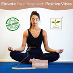 Satya Positive Vibes Incense Sticks, Satya Bng (Bangalore) Insenses 15gmx12 Pack with Raajsee Incense Holder Bundle, Satya Nagchampa Natural Incense