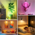 Wireless RGBW Spot Lights Indoor Decor, 4 Pack Floor Uplighting Indoor, 13 Color Changing Tree Light, Picture Light with Remote and Timer, Accent Lights for Plant Christmas Holiday Party