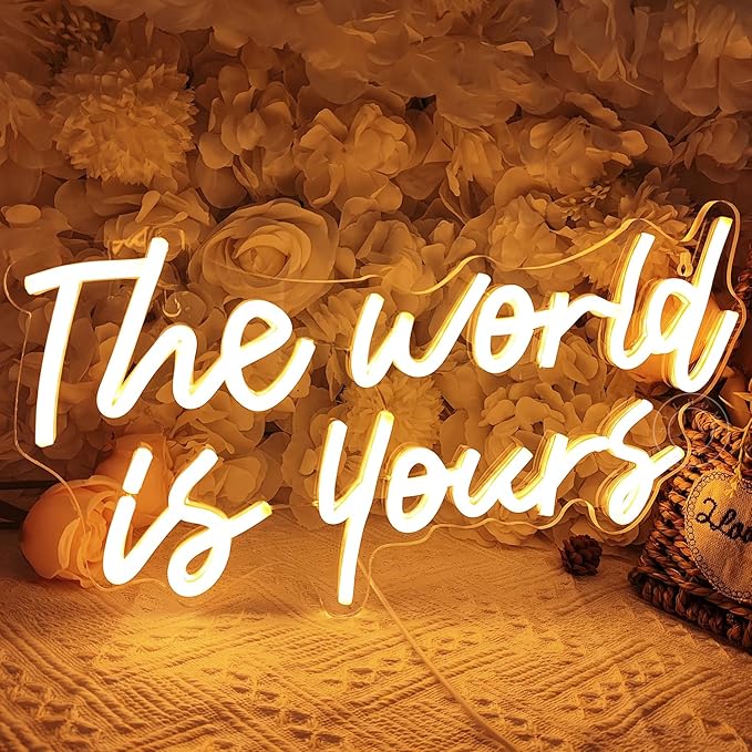 SYLHOME The World Is Yours Led Neon Light Sign Cool Bedroom Game Kids Room Wall Decor Sign Birthday Christmas Party Home Pub Club Bar Inspirational Light Up Sign USB 15.75"X8.46" Warm
