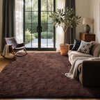 5x7 Ft Brown Shag Rugs for Bedroom Living Room, Ultra Soft Fluffy Furry Area Rug for Indoor Floor, Aesthetic Carpet for Home Decor