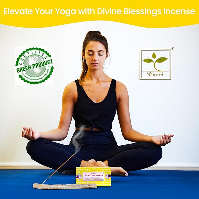 Satya Divine Blessings Incense Sticks, Satya Bng (Bangalore) Insenses 15gmx12 Pack with Raajsee Incense Holder Bundle, Satya Nagchampa Natural Incense