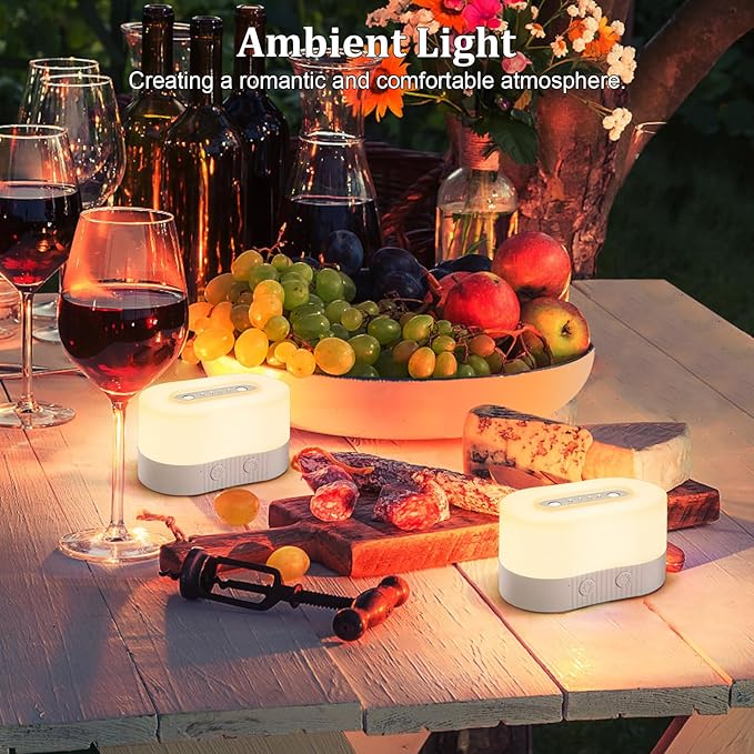 TRELC Portable Bedside Table Lamp, Atmosphere Light, LED Night Light with Magnetic Base, 8 RGB Colors & 3 Brightness, Cordless Rechargeable Ambient Light for Bedroom, Living Room, Gathering