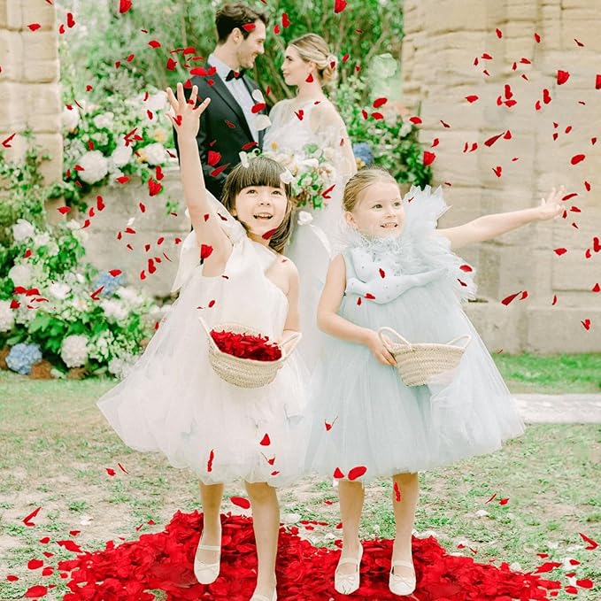 1500+ Real Dried Red Hydrangea Flower Petals - 1.06 oz Natural Preserved Petals for Wedding, Party Confetti,Proposal Decor